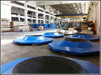 EPS plant